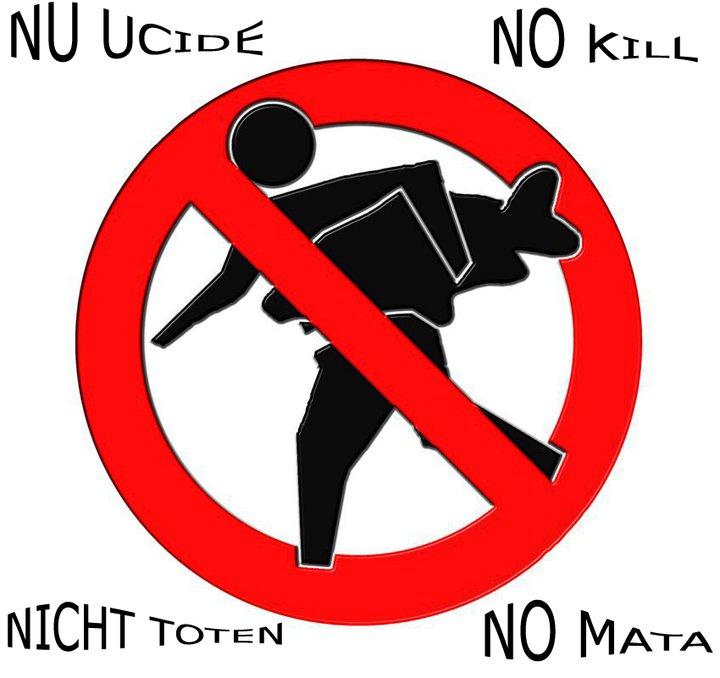 adevar 100% - bun1.jpg